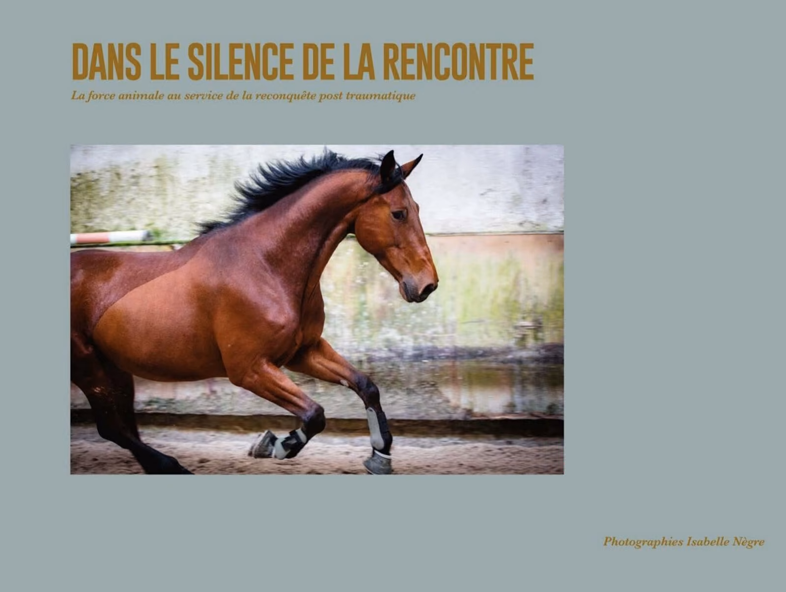 CNSD Editorial Design: Co-art direction of "Dans le silence de la rencontre", with close attention to the editorial grid, typographic hierarchy, and page rhythm